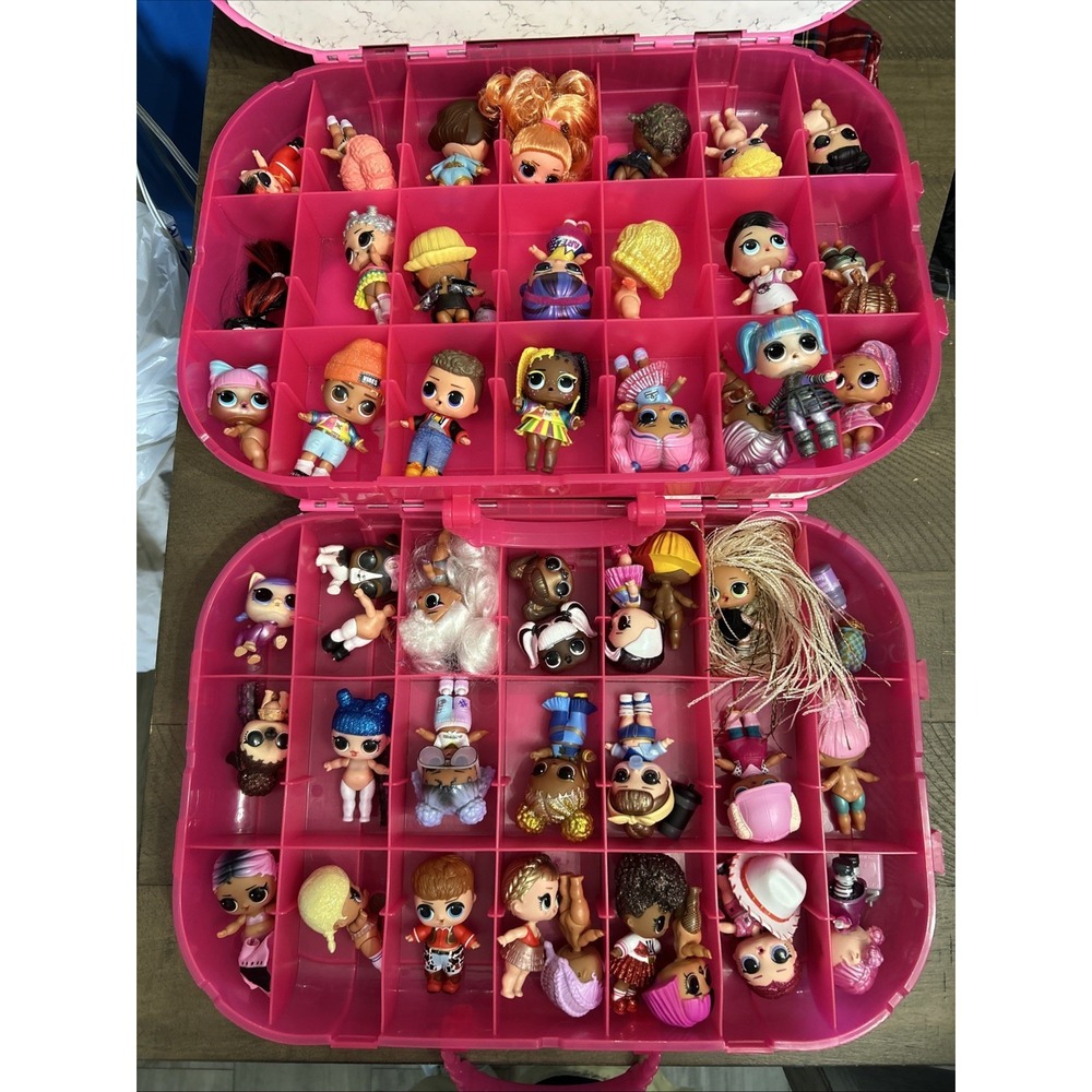 Lol Surprise dolls & Pets Huge Lot Dolls clothed with accessories Pets 2 Cases